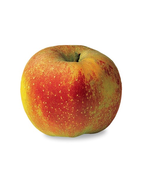 Pomme Boskoop BIO  - 11 Kg 