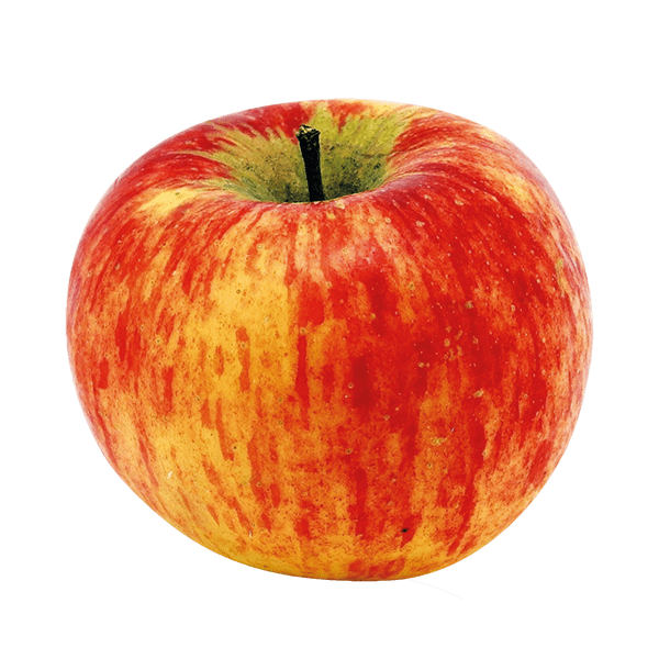 pomme "topaz" Bio - 11 Kg